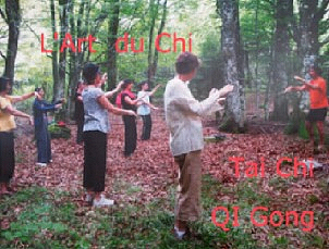 Cours QI Gong Tai Chi, Issoire