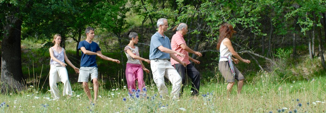 Nos cours à Clermont-Ferrand - Tai Chi et Qi Gong