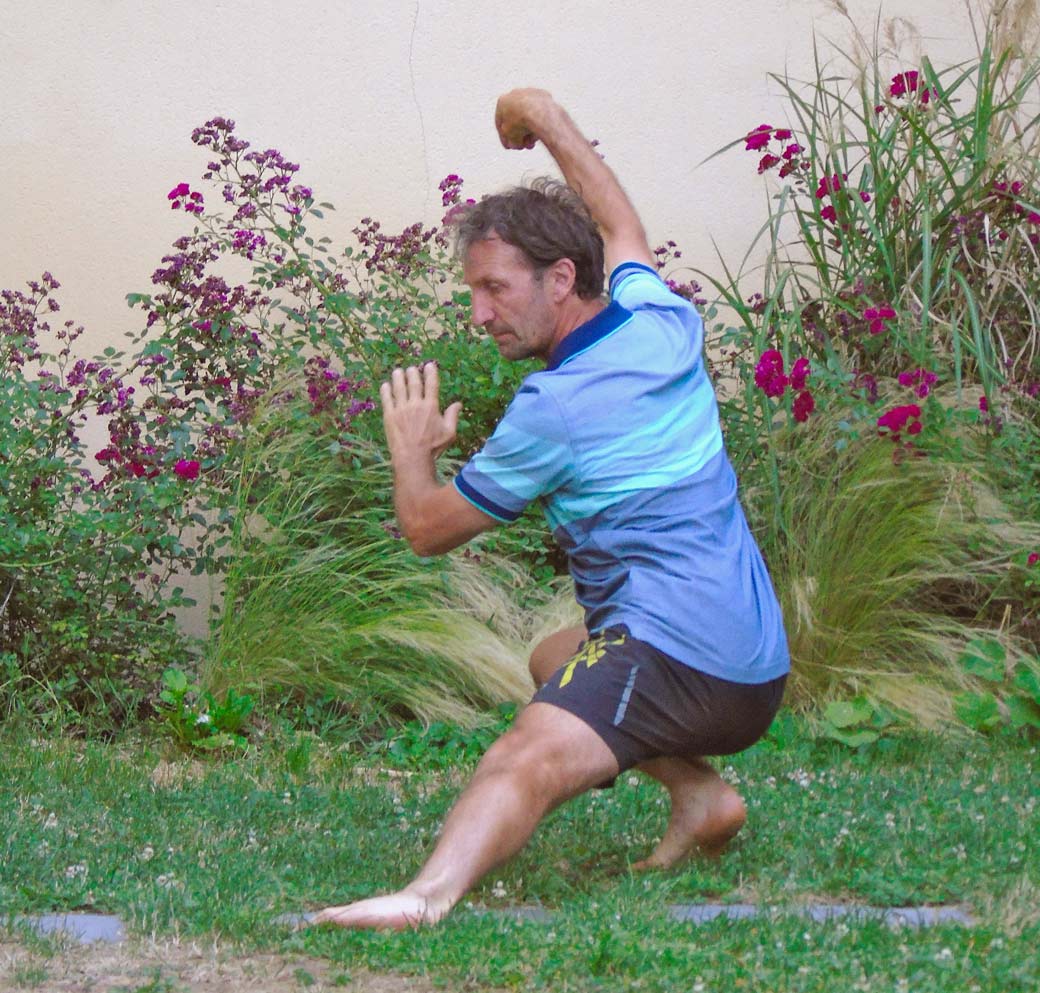 Cours à Issoire Patrick Saint Roch - l'Art du chi - Tai chi- Qi Gong Issoire